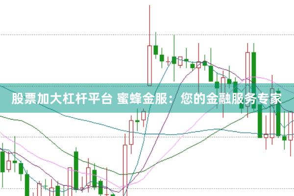 股票加大杠杆平台 蜜蜂金服：您的金融服务专家