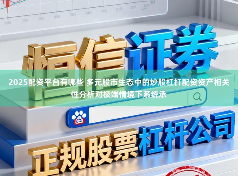2025配资平台有哪些 多元股市生态中的炒股杠杆配资资产相关性分析对极端情境下系统承